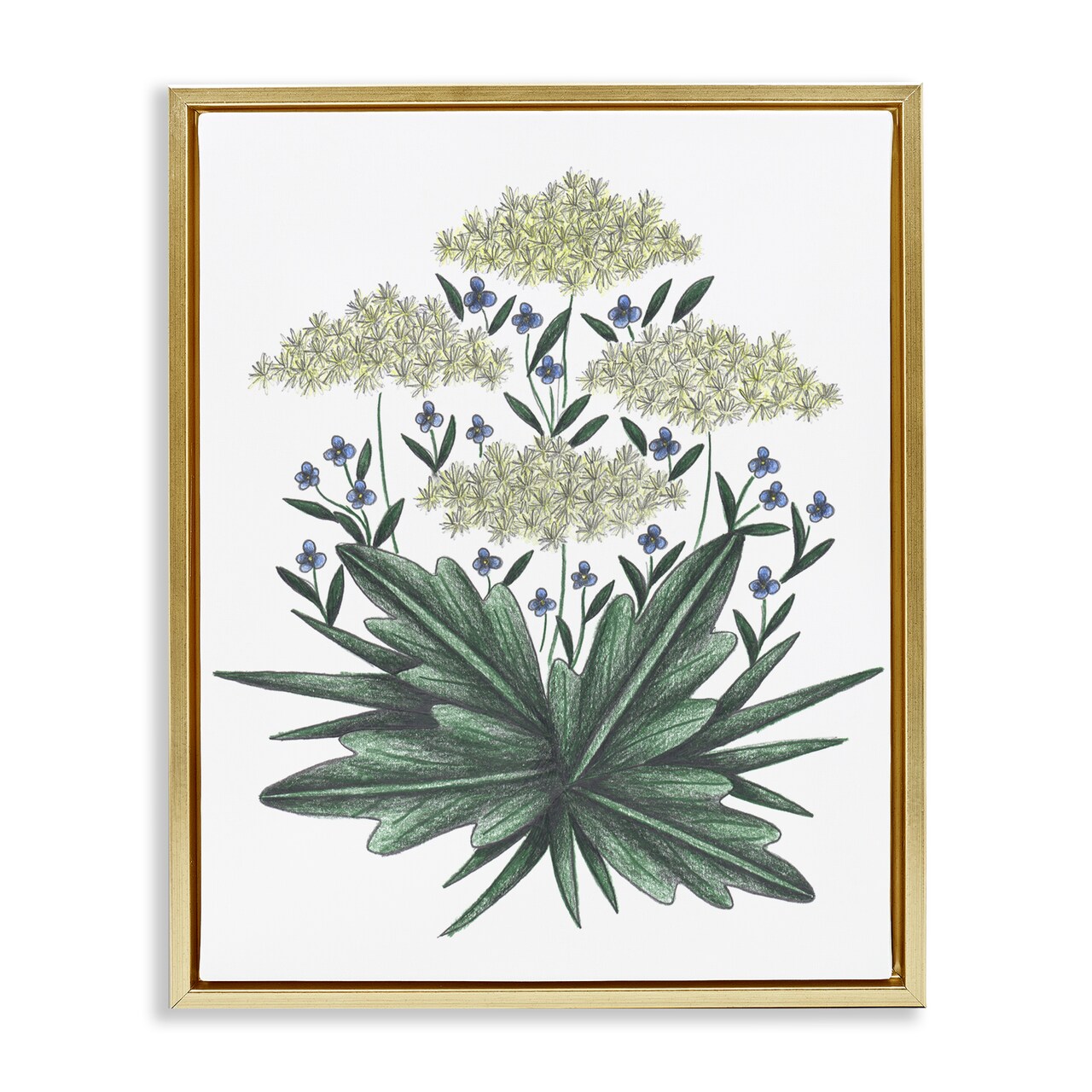 Stupell Industries New Roots Vintage Sketch Floating Frame, design by Cecilia Battaini